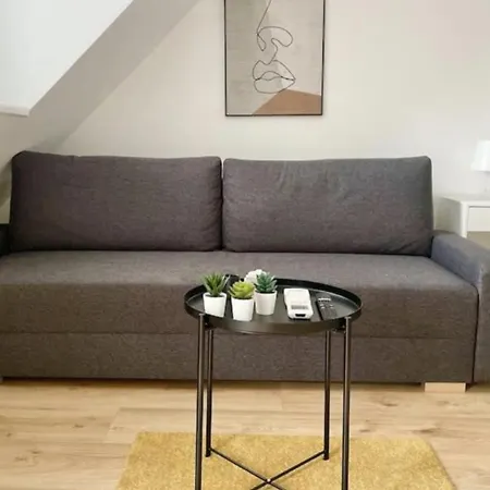 Rooftop With Free Parking & Ac Appartamento *