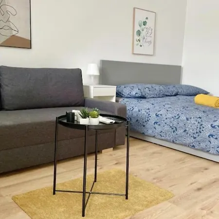 Rooftop With Free Parking & Ac